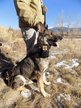 Load image into Gallery viewer, Survival - Zeke Wearing Heeler Dog Medical Kit - Wilderness Survival Systems : Picture